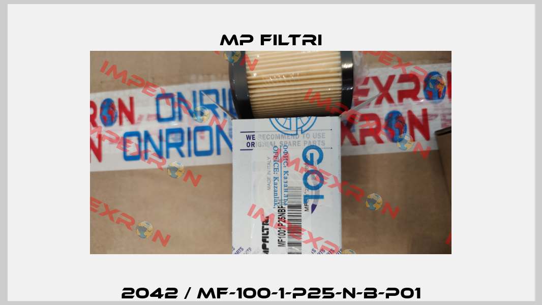 2042 / MF-100-1-P25-N-B-P01 MP Filtri