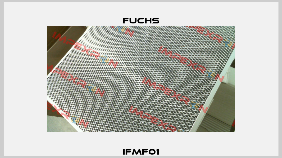 IFMF01 Fuchs