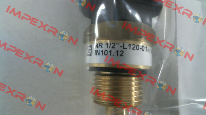 IN101.12   NR 1/2" - L120-01 Goldammer