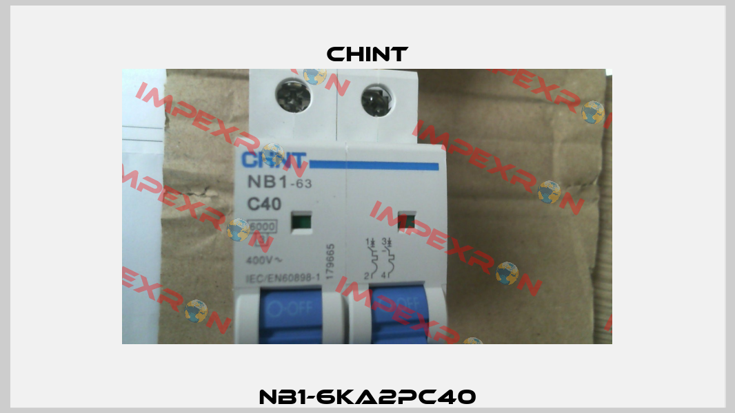 NB1-6KA2PC40 Chint