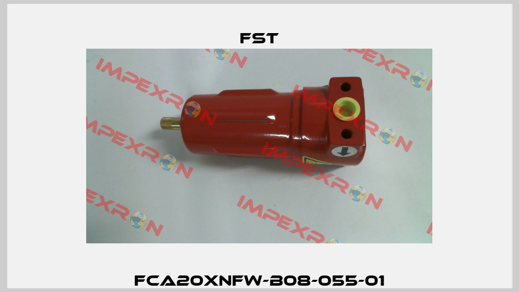 FCA20XNFW-B08-055-01 FST GmbH Filtrations-Separations-Technik
