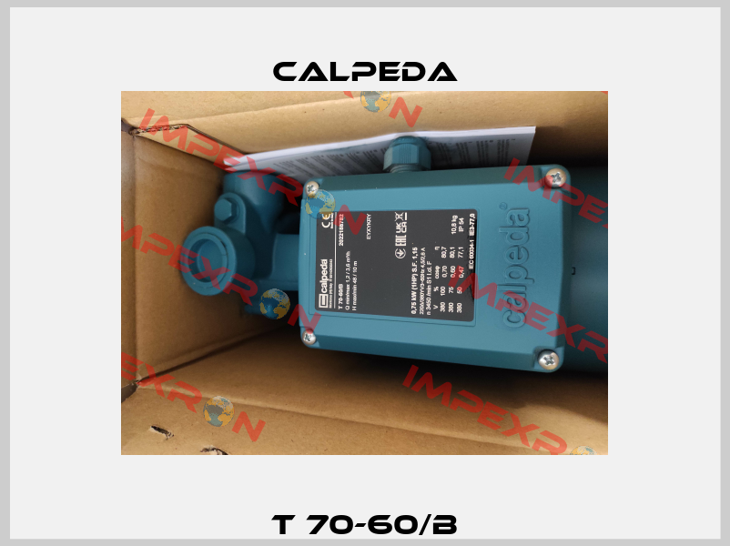 T 70-60/B Calpeda
