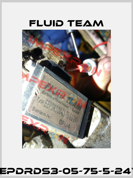 EEPDRDS3-05-75-5-24V Fluid Team