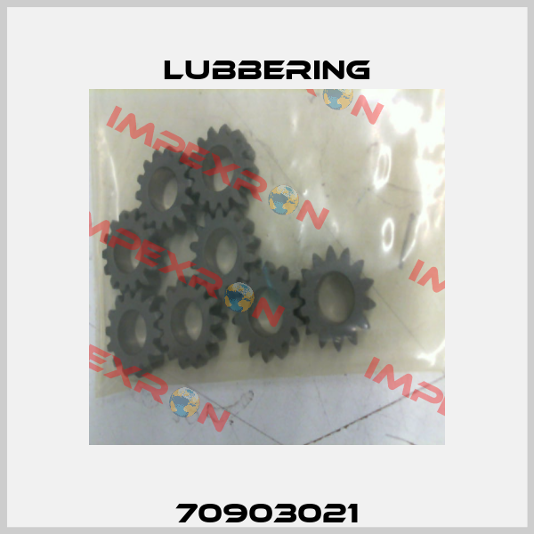 70903021 Lubbering
