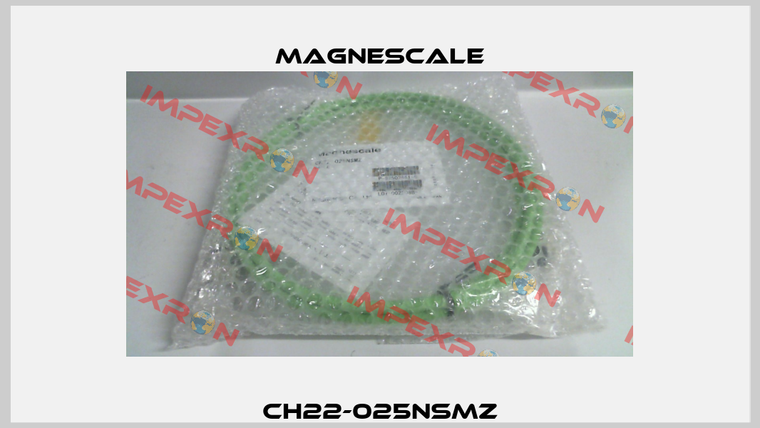 CH22-025NSMZ Magnescale