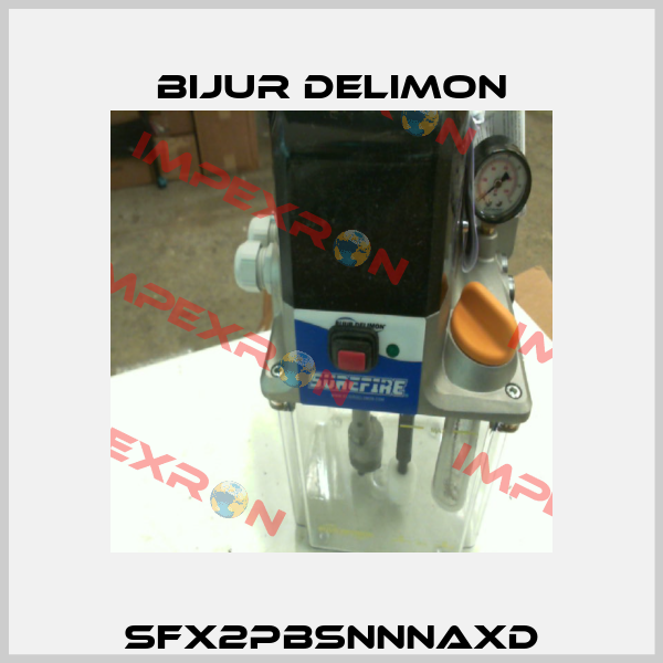 SFX2PBSNNNAXD Bijur Delimon