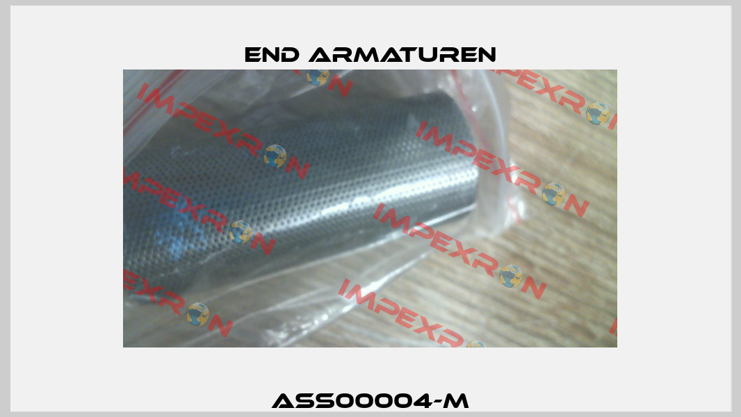 ASS00004-M End Armaturen