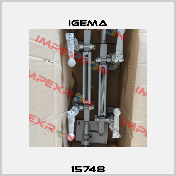 15748 Igema