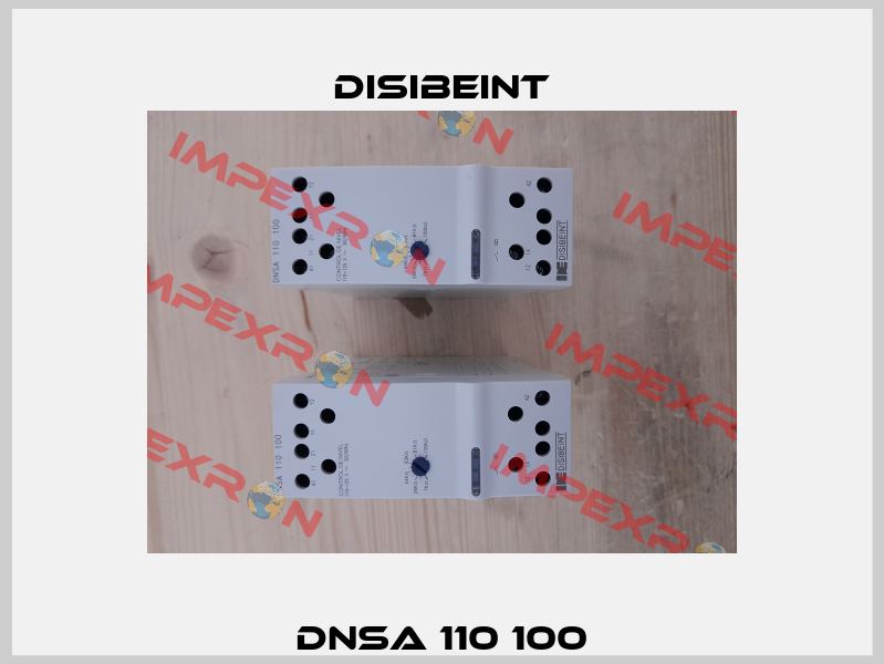 DNSA 110 100 Disibeint