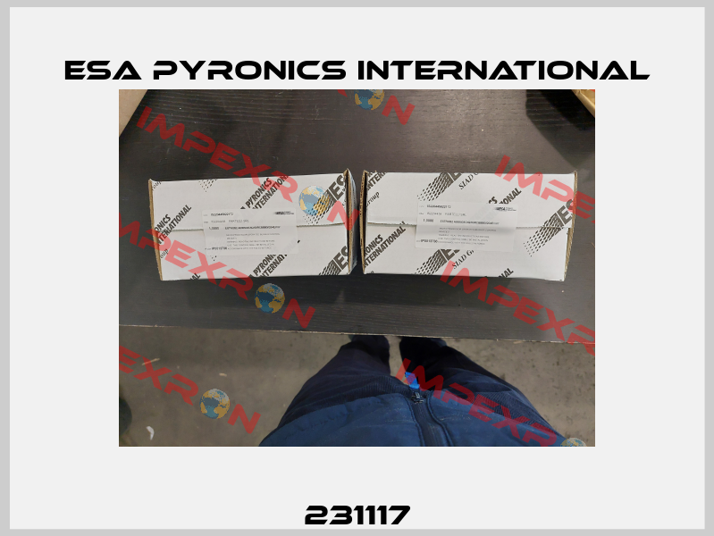 231117 ESA Pyronics International