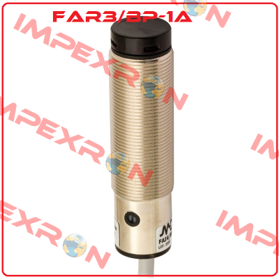 FAR3/BP-1A Micro Detectors / Diell (now Datasensing)
