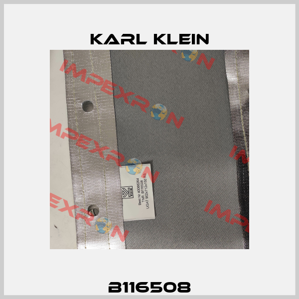 B116508 Karl Klein