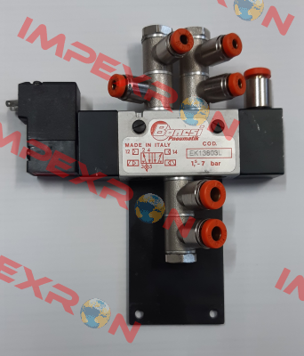 EK13803L/F Bonesi Pneumatic