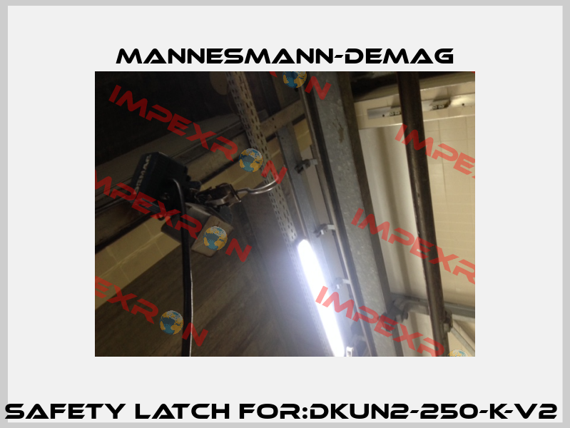 Safety Latch For:DKUN2-250-K-V2  Mannesmann-Demag