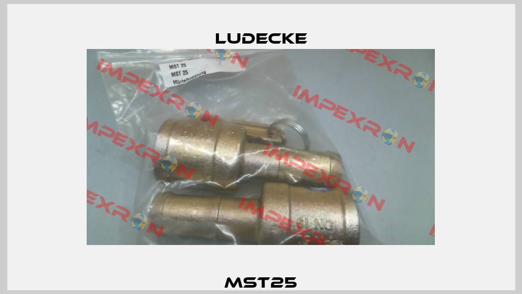 MST25 Ludecke