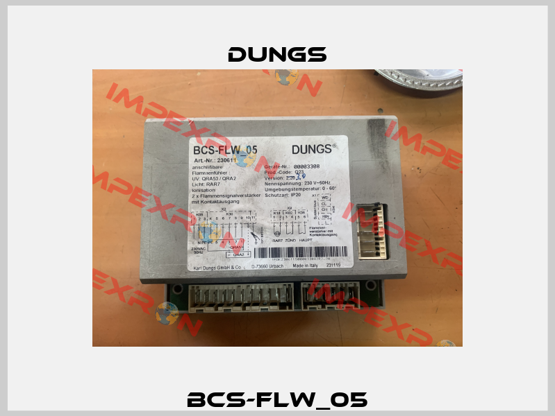 BCS-FLW_05 Dungs