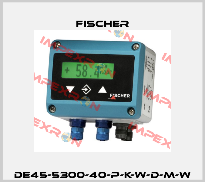DE45-5300-40-P-K-W-D-M-W Fischer