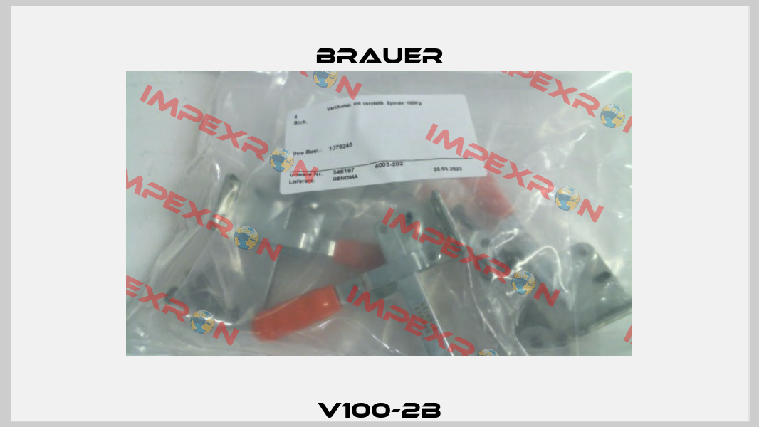 V100-2B Brauer