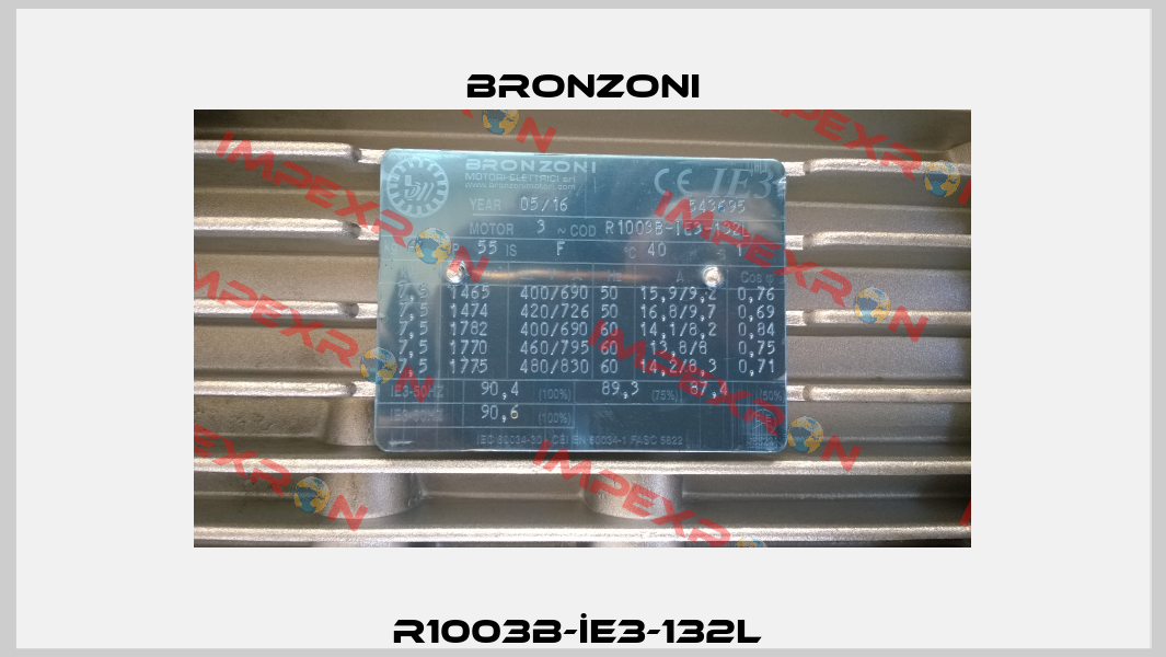 R1003B-İE3-132L  Bronzoni