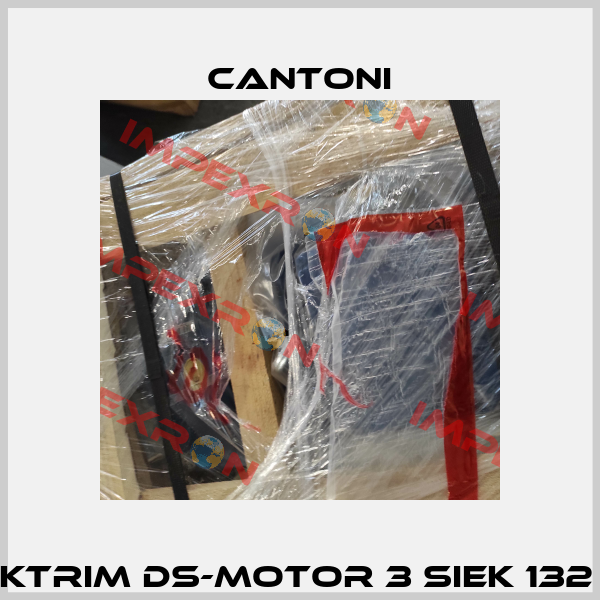 Elektrim DS-Motor 3 SIEK 132 S-4 Cantoni